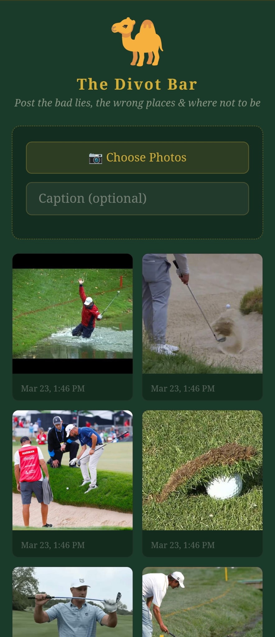 Sheet-Tee Bunker photo wall